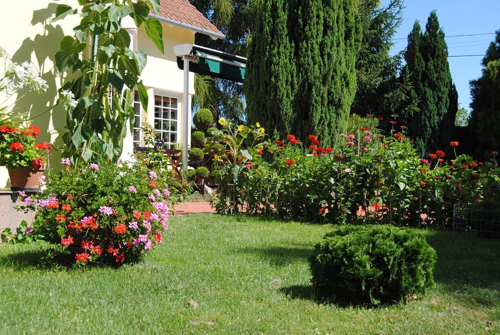 Villa Hedi Panzió Dunakiliti Exterior foto